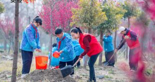 الصين تكمل تشجير أكثر من 8 ملايين هكتار من الأراضي في عام 2025