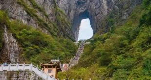 وزارة الثقافة والسياحة الصينية : المقيمون الصينيون قاموا بـ 6.52 مليار رحلة داخلية عام 2025