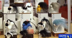 الصين : منتج تفاعلي في متحف شاندونغ للفنون بمناسبة عام الحصان يصبح ظاهرة ثقافية