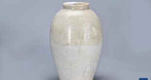 الصين : اكتشاف مقبرة يعود تاريخها إلى عهد أسرة تانغ الإمبراطورية تضم قطعا أثرية رائعة في مدينة شيآن الصينية