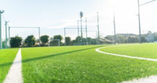 الاحتلال يمنع إدخال شحنة عشب اصطناعي مخصصة للملاعب الفلسطينية مقدمة من الصين