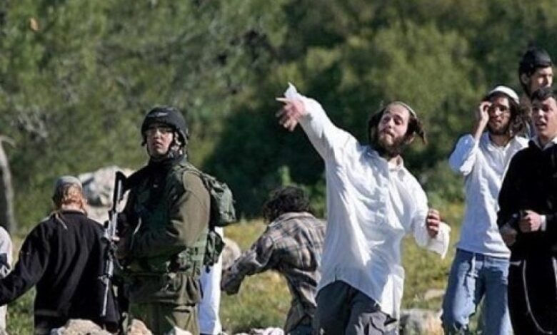 مستوطنون يعتدون على ممتلكات المواطنين في الأغوار الشمالية وبلدة قصرة بنابلس
