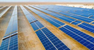 روبوتات صينية ذكية تعزز كفاءة محطات الطاقة الشمسية في الشرق الأوسط