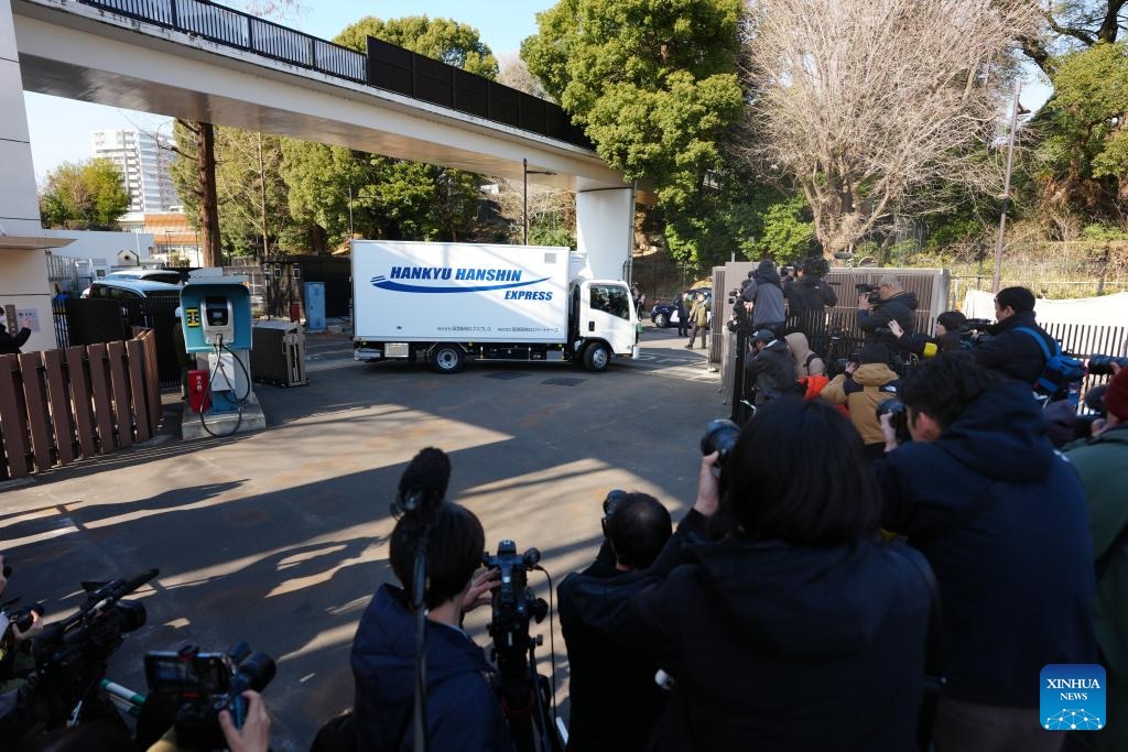 آخر اثنين من دببة الباندا العملاقة المتبقية في اليابان يغادران باتجاه الصين