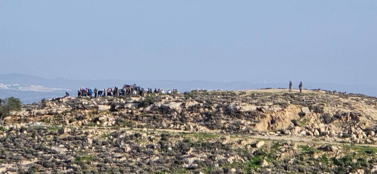 عشرات المستوطنين يقتحمون "جبل طاروسة" في دورا جنوب الخليل