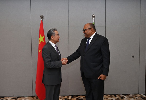 وزير الخارجية الصيني يبرز الصداقة الصينية-الإفريقية الدائمة المتجسدة في إرث خط سكة حديد "تازارا"