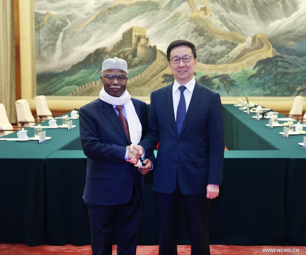 نائب الرئيس الصيني يلتقي الأمين العام لمنظمة التعاون الإسلامي