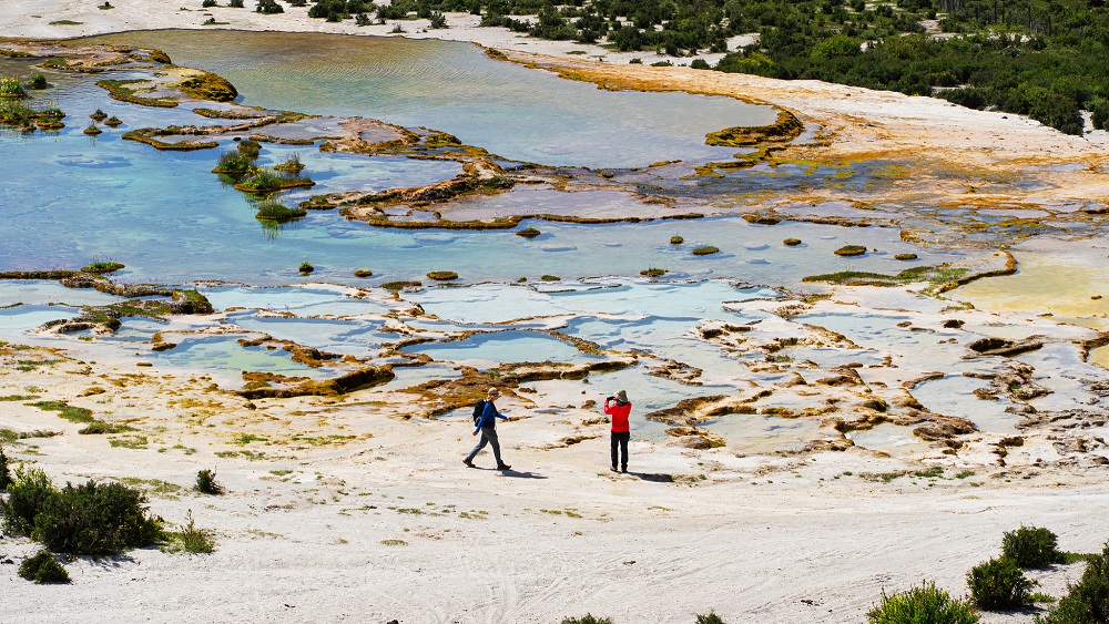 الصين : نشاطات "فيلم بلس" تساهم في تعزيز نمو الاستهلاك المتنوع