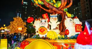 شنتشن: سوق زهور الربيع تبهر الحشود ليلا