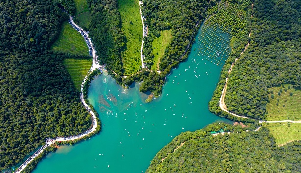نظرية "المياه الصافية والجبال الخضراء هي جبال من الذهب والفضة" تدفع التحديث المتناغم بين الإنسان والطبيعة باستمرار