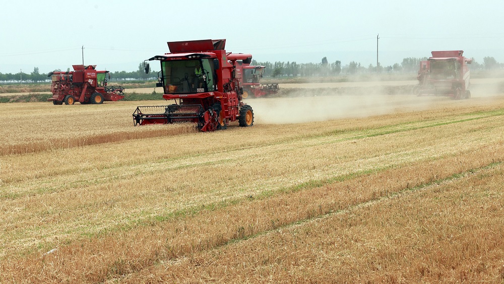 الصين تضع خططا لتحديث الزراعة وإحياء المناطق الريفية