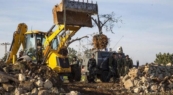 الاحتلال يقتلع 200 شجرة جنوب بيت لحم
