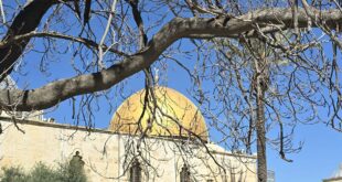 توافد الآلاف من المصلين لأداء صلاة الجمعة الأولى في شهر رمضان المبارك، في رحاب المسجد الأقصى المبارك