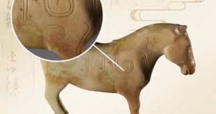 قراءة الصين من خلال الآثار .. هل رأيتم نقوش السحب في شعار سهرة عيد الربيع 2026؟ المفاجأة أنها موجودة أيضا على حصان من اليشم عمره ثلاثة آلاف عام