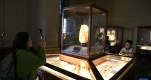 سياح صينيون يقضون عيد الربيع بين عجائب مصر القديمة