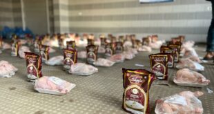"فلسطين الخيرية" توزع لحوم دجاج وأرز على النازحين والمتضررين شمال قطاع غزة