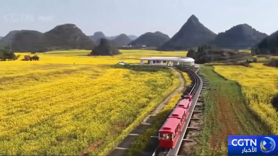 الناس يخرجون للاستمتاع بالزهور ويذهبون في نزهة خلال عطلة عيد الربيع
