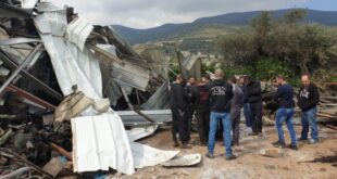 الاحتلال يقتلع عشرات أشجار الزيتون في إذنا ويخطر باقتلاع آلاف الأشجار على امتداد جدار الفصل العنصري