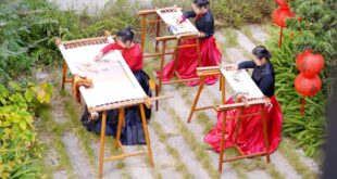 فنانو تطريز هونان يصنعون أعمالا مستوحاة من الخيول بطريقة مبتكرة احتفالا بعيد الربيع