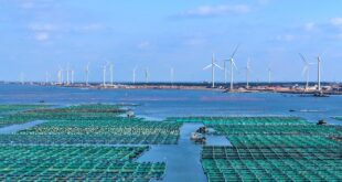 تعزيز إدارة أعمال الموارد الطبيعية لفتح آفاق التنمية المستدامة