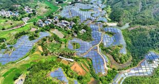 أربعة مفاتيح لفهم "الشفرة الخضراء" للصين الجميلة