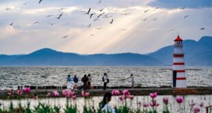 السياحة في بحيرة ديانتشي في مدينة كونمينغ بجنوب غربي الصين