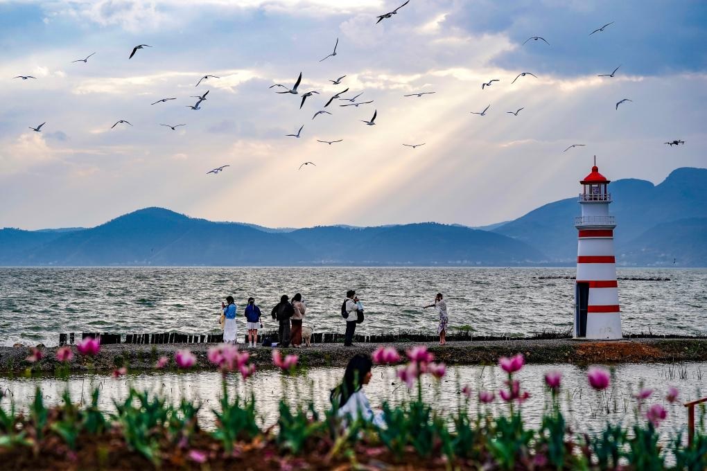 السياحة في بحيرة ديانتشي في مدينة كونمينغ بجنوب غربي الصين