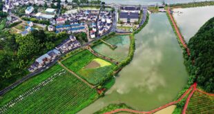 لوحة جديدة للتعايش المتناغم بين الإنسان والطبيعة