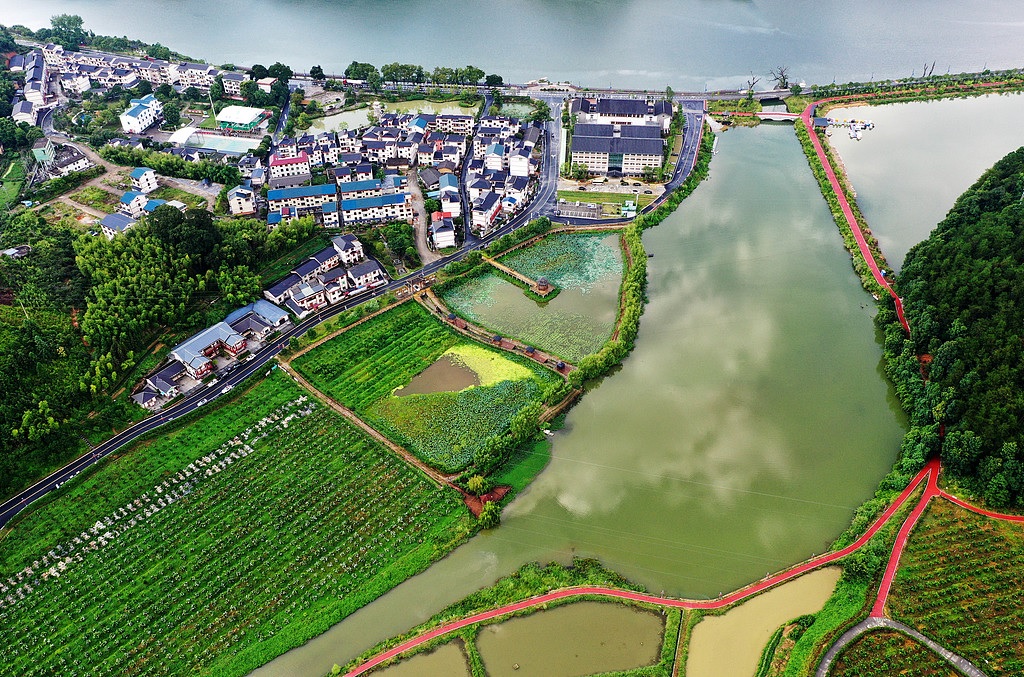 لوحة جديدة للتعايش المتناغم بين الإنسان والطبيعة