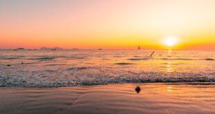 هويتشو بمقاطعة غوانغدونغ: دفء السنة الجديدة في قلب الشتاء