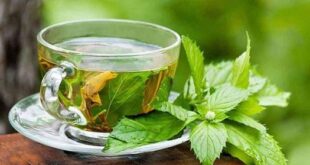 فوائد الشاي الأخضر وأسراره الصحية على الجسم والعقل