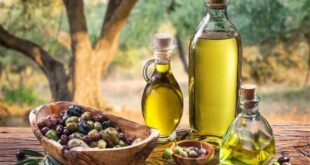 زيت الزيتون يحمي الدماغ من تغيرات التقدم في السن
