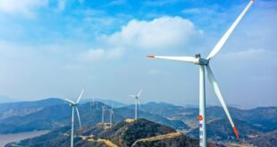 مشاركة التكنولوجيا الخضراء مع الدول الأخرى لبناء عالم نظيف.. التعاونات بين الصين والدول الأخرى في مجال الطاقة المتجددة يعود بالفائدة على العالم