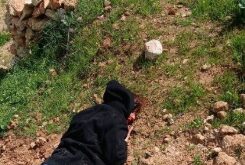 إصابة متضامنين أجنبيين في هجوم للمستوطنين على قصرة جنوب نابلس