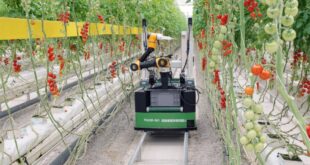 الصين : روبوتات الحصاد تقود تحولا في أساليب الإنتاج الزراعي