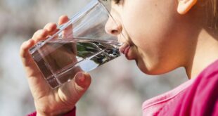 ما تأثير الماء على عمل الدماغ؟