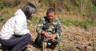 متتبعو أفيال الغابات المطيرة