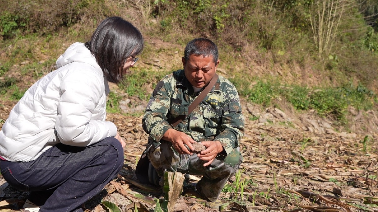 متتبعو أفيال الغابات المطيرة