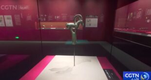 خيول مباركة تجلب البركات والبرونز يعكس روح السهوب