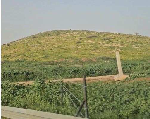 مستعمرون يسيّجون 1500 دونم في الأغوار الشمالية بعد اجبار 6 عائلات على الرحيل