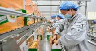 استئناف العمل في الصين بعد عطلة عيد الربيع