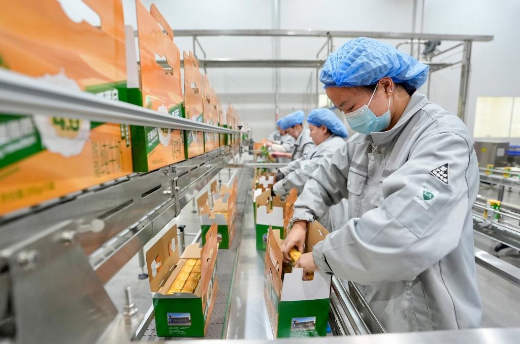 استئناف العمل في الصين بعد عطلة عيد الربيع