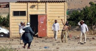 مقاومة الجدار والاستيطان : 1872 اعتداءً نفذها الاحتلال ومستعمروه في كانون الثاني الماضي