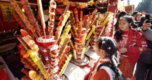 معارض المعابد للاحتفال بعيد الربيع في العاصمة الصينية بكين