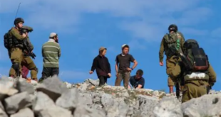 مستوطنين يهاجمون منازل المواطنين في المزرعة الشرقية شرق رام الله