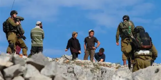 مستوطنين يهاجمون منازل المواطنين في المزرعة الشرقية شرق رام الله