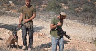 مستوطنون يقتحمون تجمع عرب الخولي في كفر ثلث جنوب قلقيلية