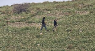 مستوطنون يسيجون أراض في عين الحلوة بالأغوار الشمالية