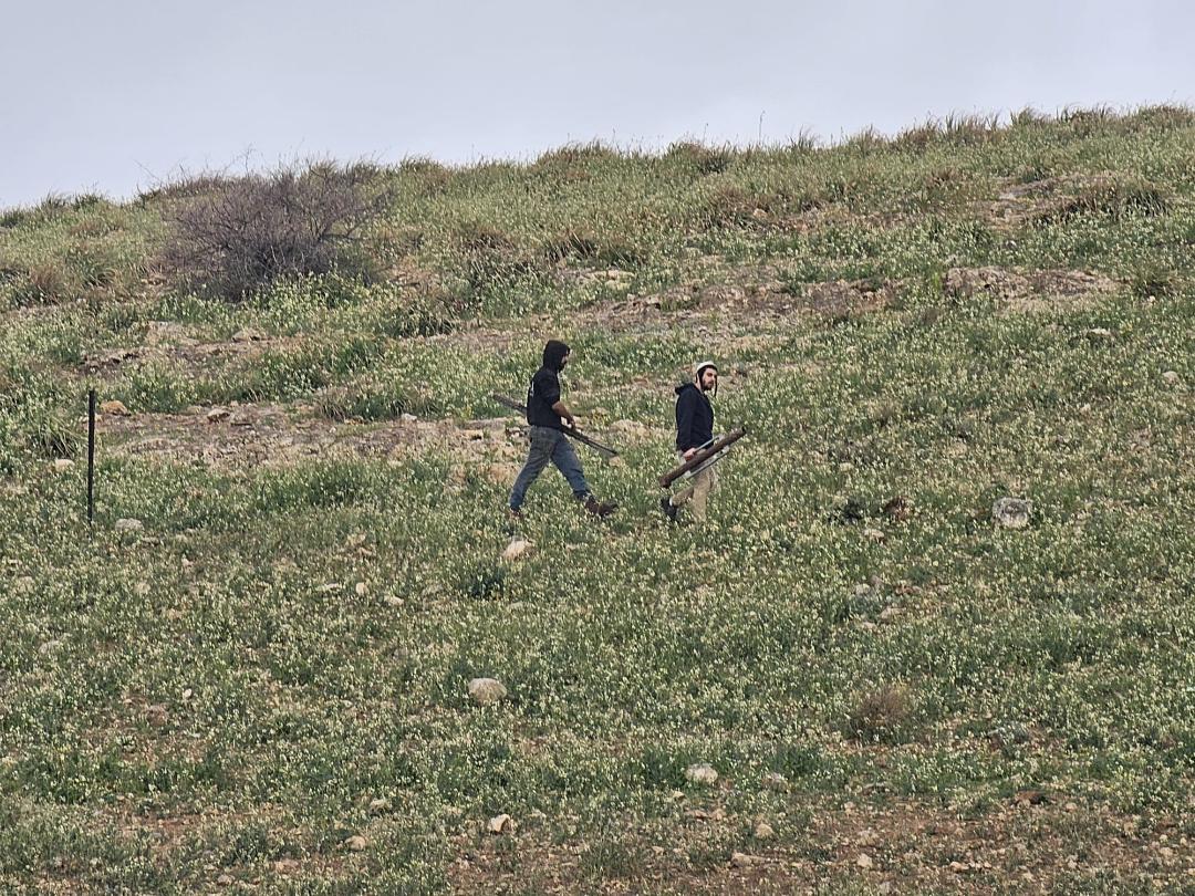 مستوطنون يسيجون أراض في عين الحلوة بالأغوار الشمالية