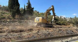 الاحتلال يجرف أراضي المواطنين ويقتلع أشجار زيتون في دير استيا